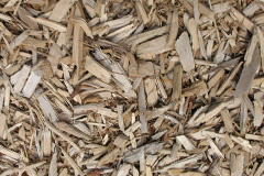 biomass boilers Cuxton